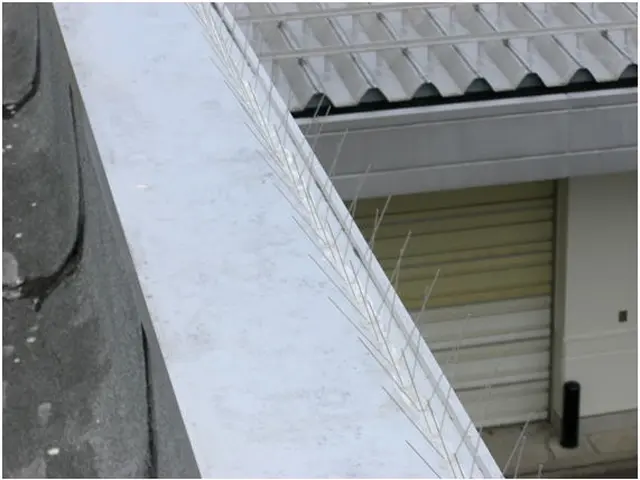 【損保加入・完全自社施工で安心安全】土日祝も対応・クレジットカード使用可能◎サービスの画像