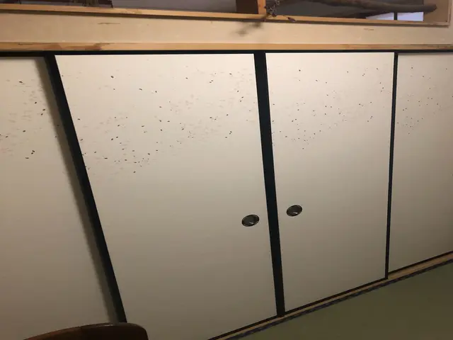 襖紙張替えサービスの画像