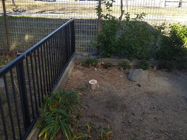 庭木伐採、抜根サービスサービスの画像