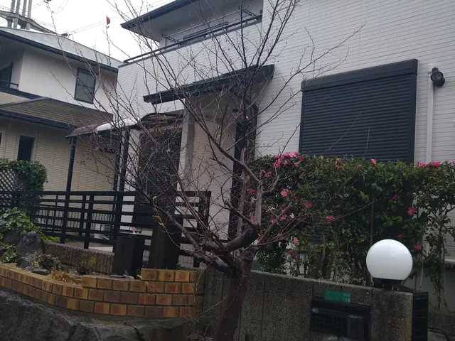 庭木伐採、抜根サービスサービスの画像