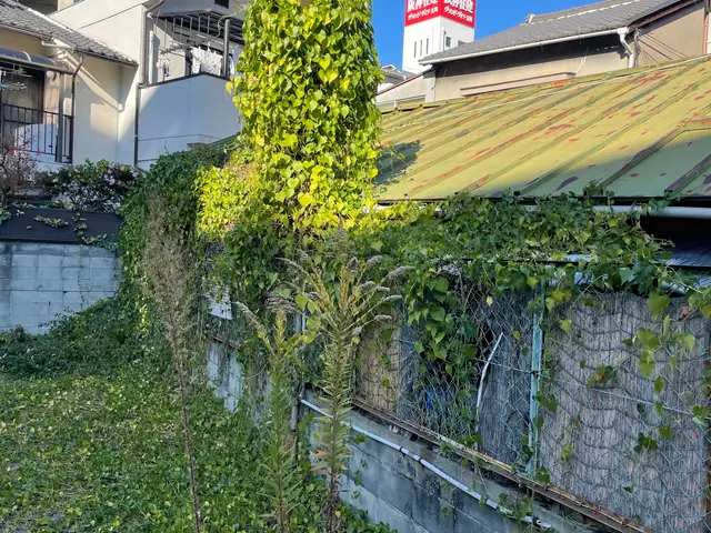 【安心低価格】草むしりはプロにお任せください！サービスの画像