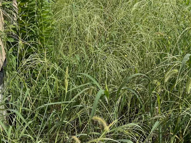 お客様の信頼に応えるために◎年中無休◎現地見積り無料　仕上がり保証付きサービスの画像