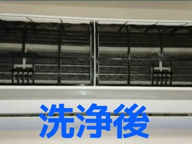 11月5日〜予約◎複数台割引あります！天然植物洗剤使用！迅速、丁寧に作業しますサービスの画像