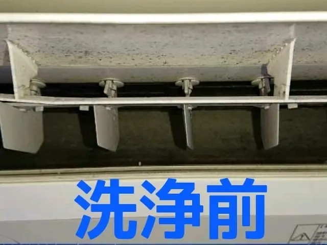 11月5日〜予約◎複数台割引あります！天然植物洗剤使用！迅速、丁寧に作業しますサービスの画像