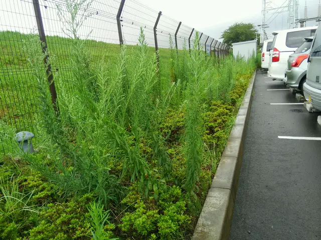 【創業25年】年中無休！お客さまの希望に添える美しい庭造りはお任せ下さい◎サービスの画像