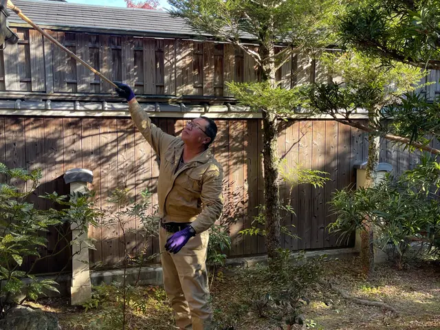 植物、虫苦手、腰痛い方！お任せください！お庭スッキリ！サービスの画像