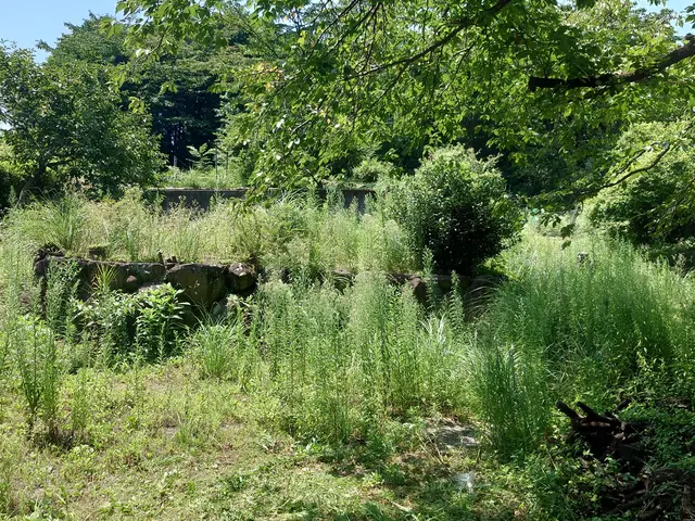 どんなお庭でも迅速丁寧に仕上げます！難易度の高い剪定も対応致します！サービスの画像