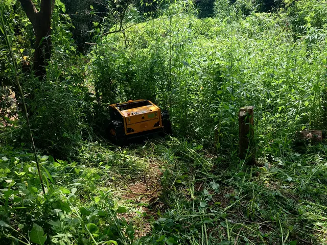 どんなお庭でも迅速丁寧に仕上げます！難易度の高い剪定も対応致します！サービスの画像