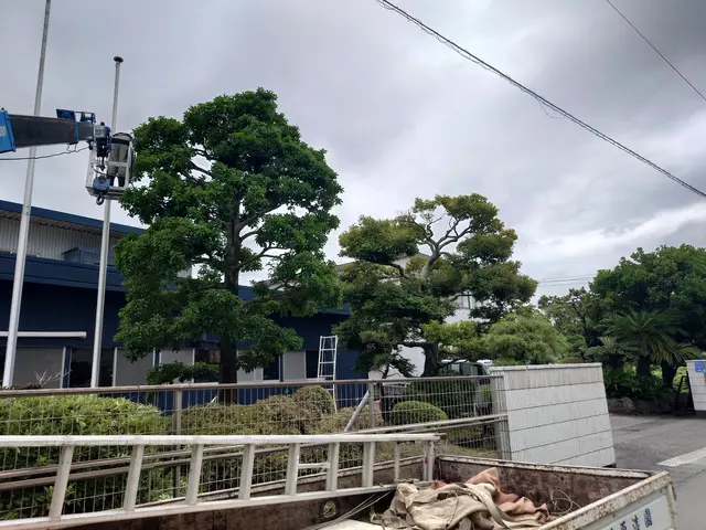 どんなお庭でも迅速丁寧に仕上げます！難易度の高い剪定も対応致します！サービスの画像