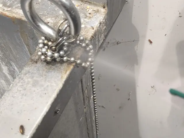 【時間外も相談可】春の訪れと共にゴキブリも活発に。今が駆除のチャンスです！サービスの画像