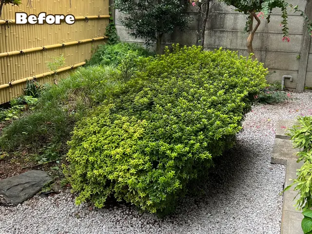 ●早く綺麗に極上仕上げ●お洒落センス抜群●親切丁寧100点サービスの画像