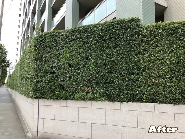 ●早く綺麗に極上仕上げ●お洒落センス抜群●親切丁寧100点サービスの画像