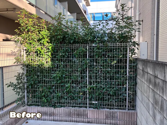 ●早く綺麗に極上仕上げ●お洒落センス抜群●親切丁寧100点サービスの画像