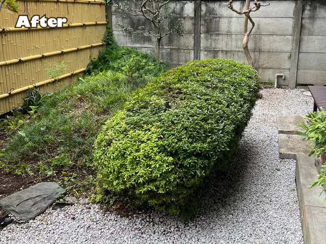 ●早く綺麗に極上仕上げ●お洒落センス抜群●親切丁寧100点サービスの画像