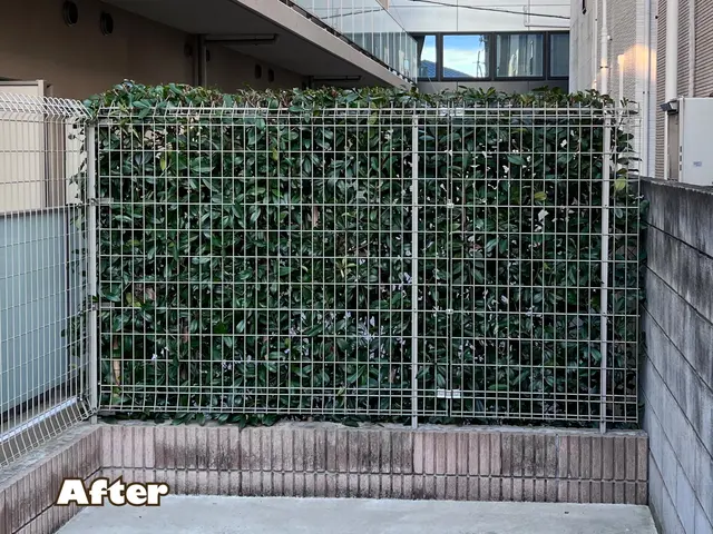 ●早く綺麗に極上仕上げ●お洒落センス抜群●親切丁寧100点サービスの画像