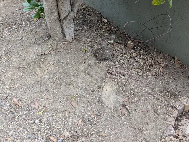 プロの技術でご満足いただけるように心を込めて作業いたしますサービスの画像