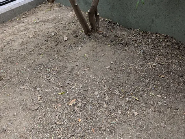 プロの技術でご満足いただけるように心を込めて作業いたしますサービスの画像