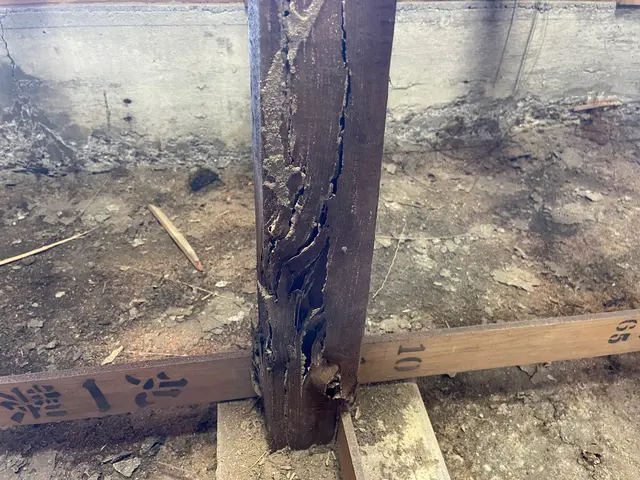 シロアリ駆除お任せ下さい！【業界10年以上！完全自社対応◎】年中無休で対応中！サービスの画像