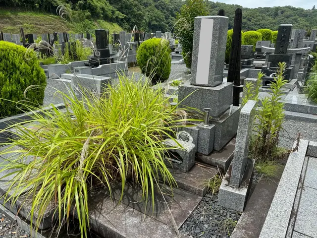 ◉お花、お線香代コミコミ♪◉墓石水洗い◉雑草除去◉写真のご報告（清掃前後)サービスの画像