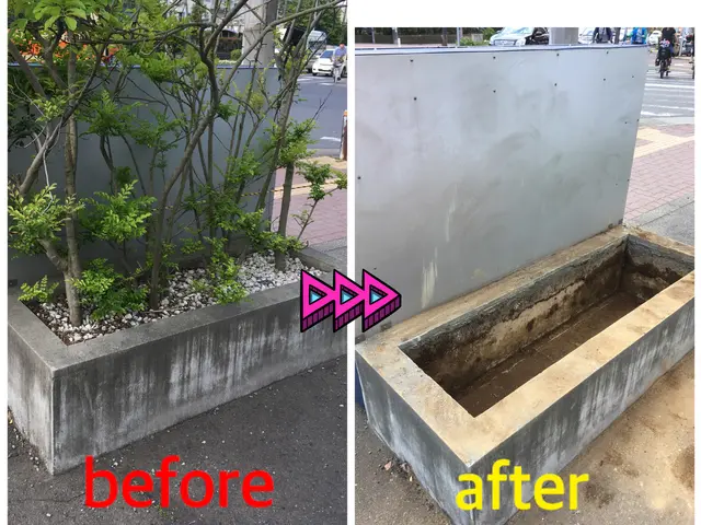 手に負えなくなってしまった木伐採致します！困難な特殊伐採もお任せ下さい！サービスの画像