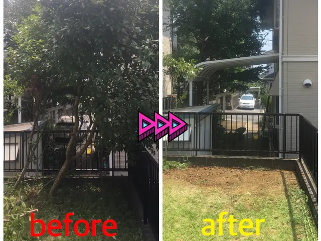 手に負えなくなってしまった木伐採致します！困難な特殊伐採もお任せ下さい！サービスの画像