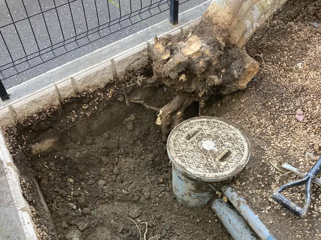 手に負えなくなってしまった木伐採致します！困難な特殊伐採もお任せ下さい！サービスの画像