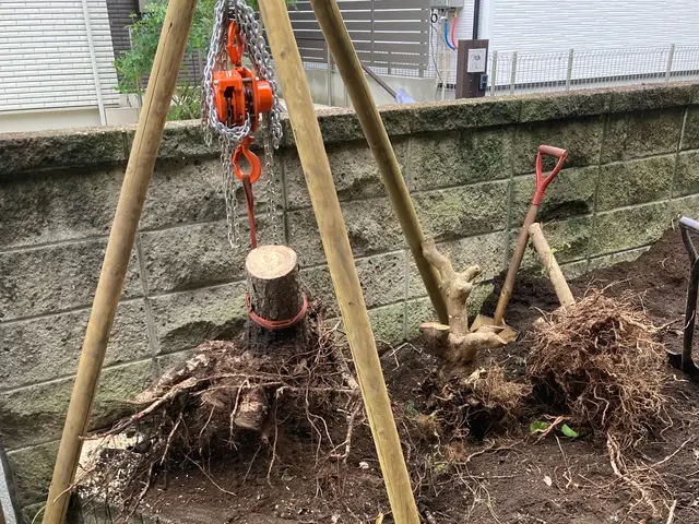 手に負えなくなってしまった木伐採致します！困難な特殊伐採もお任せ下さい！サービスの画像