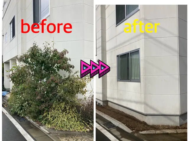 手に負えなくなってしまった木伐採致します！困難な特殊伐採もお任せ下さい！サービスの画像