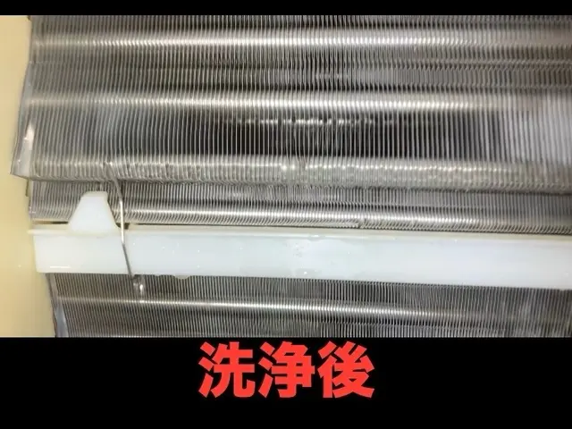 【完全分解対応店】専門店の”3度洗い”でお子様やご年配の方、ペットも安心徹底洗浄サービスの画像