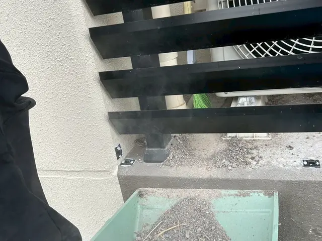 ハト駆除、鳩よけを専門としたプロがお悩みを解決いたします！！サービスの画像