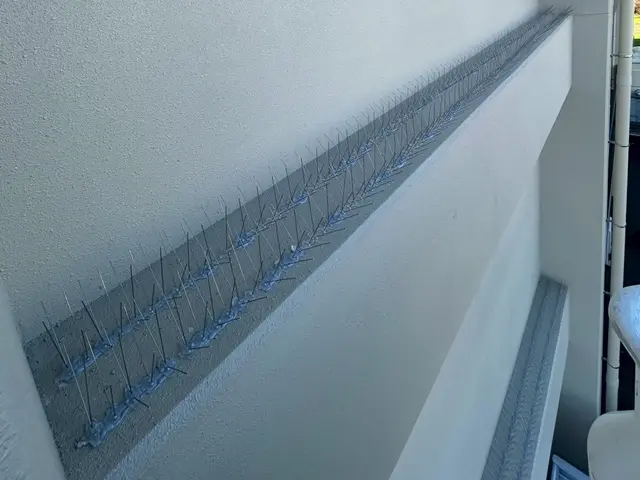 ハト駆除、鳩よけを専門としたプロがお悩みを解決いたします！！サービスの画像