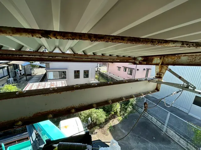 ハト駆除、鳩よけを専門としたプロがお悩みを解決いたします！！サービスの画像