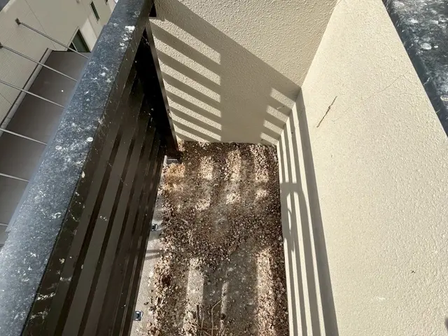 ハト駆除、鳩よけを専門としたプロがお悩みを解決いたします！！サービスの画像