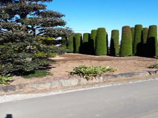 【年中無休！】女性スタッフの同行可能◎安心の保険加入済み！庭木の剪定サービスの画像