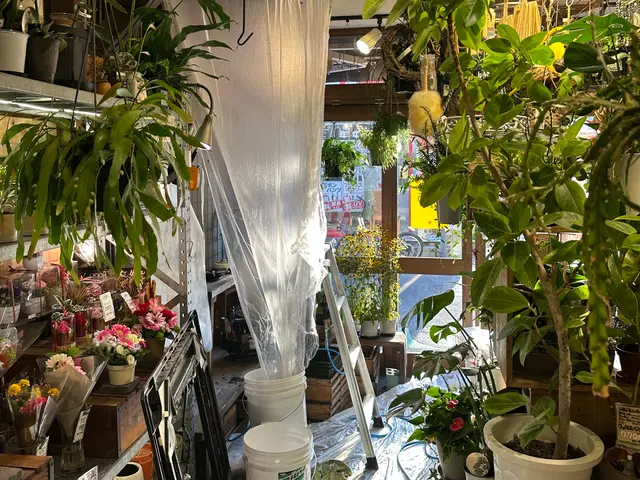 ☆業務用天カセクリーニング☆、高所エアコンもお任せください。サービスの画像