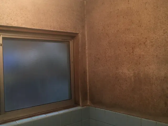 【関西】キャンペーン中♪徹底洗浄♫エプロン内、ウロコ、排水溝も綺麗にスッキリ♫サービスの画像