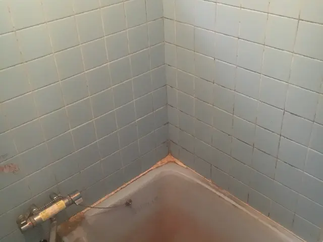 【関西】キャンペーン中♪徹底洗浄♫エプロン内、ウロコ、排水溝も綺麗にスッキリ♫サービスの画像