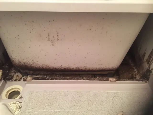 【関西】キャンペーン中♪徹底洗浄♫エプロン内、ウロコ、排水溝も綺麗にスッキリ♫サービスの画像