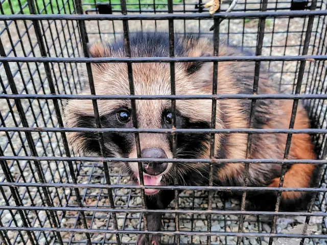 【16年の安心実績】時間外・地域外も相談可能◎写真や動画で施工前後の説明◎サービスの画像