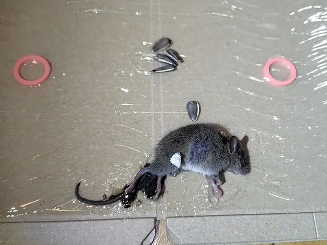 【16年の安心実績】時間外・地域外も相談可能◎写真や動画で施工前後の説明◎サービスの画像