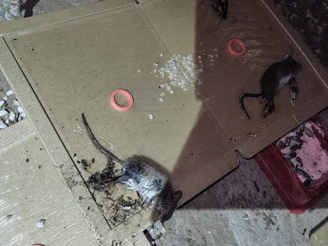 【16年の安心実績】時間外・地域外も相談可能◎写真や動画で施工前後の説明◎サービスの画像