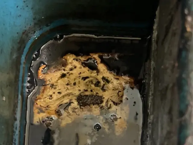 【住居から飲食店まで対応 小蝿駆除と再発防止の安心信頼サービス】サービスの画像