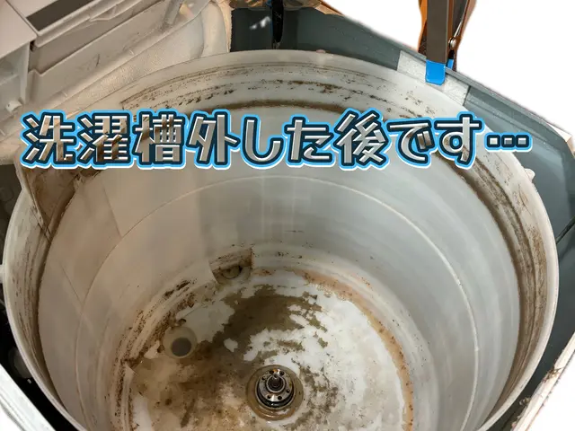 ☆安心のお洗濯☆洗濯機クリーニングサービスの画像