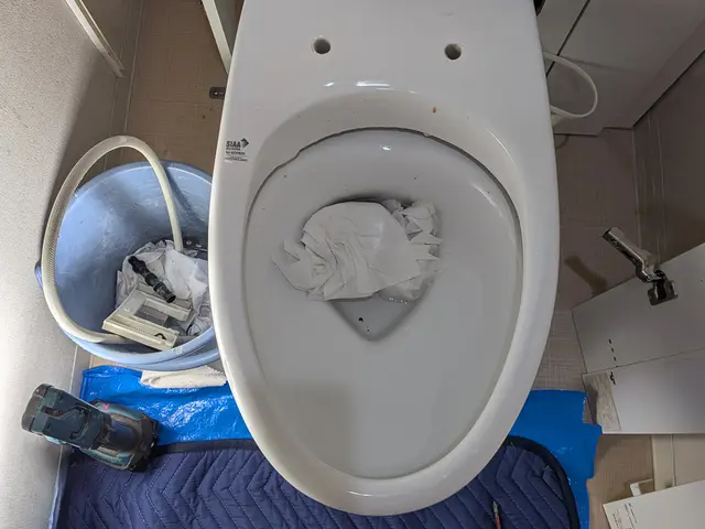 【トイレの洗浄便座•ウォシュレット•壁付きリモコンの取り外し】サービスの画像