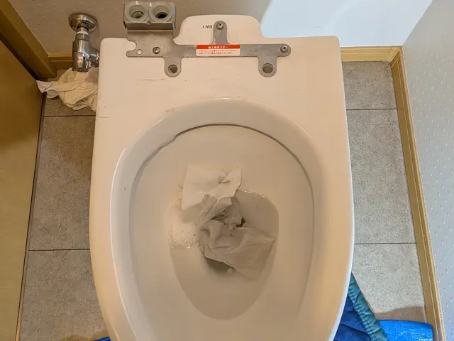 【トイレの洗浄便座•ウォシュレット•壁付きリモコンの取り外し】サービスの画像