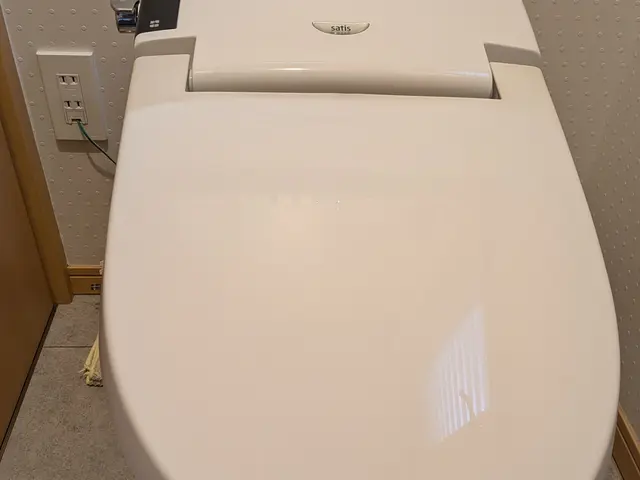 【トイレの洗浄便座•ウォシュレット•壁付きリモコンの取り外し】サービスの画像