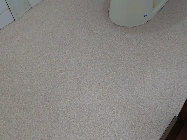 トイレ内掃除でスッキリ綺麗に★彡サービスの画像