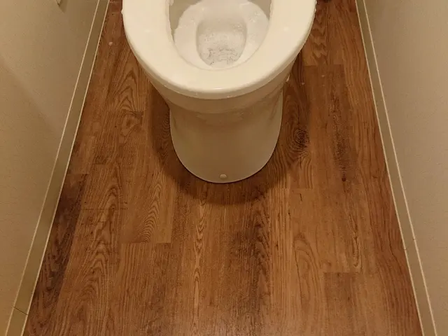 トイレ内掃除でスッキリ綺麗に★彡サービスの画像