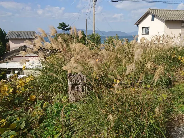 【安心の損害保険加入済み◎】プロのサービスでお困りごとをスピード解決◎サービスの画像