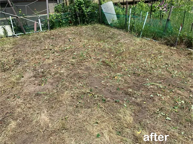 お庭の草をスッキリ、丁寧に刈り取ります！草刈りシーズンはお任せください！サービスの画像